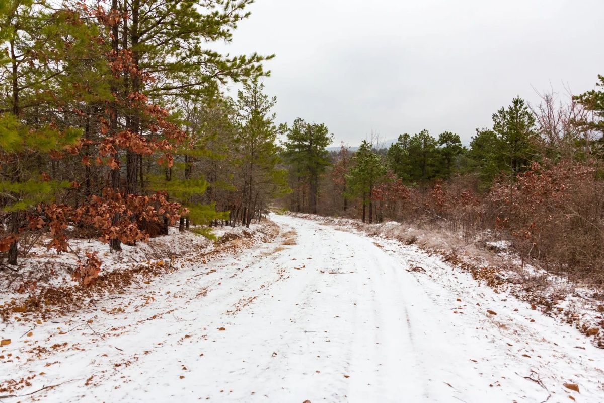 Decorative background for Stone Bridge Phase IV Tract 267 image 12
