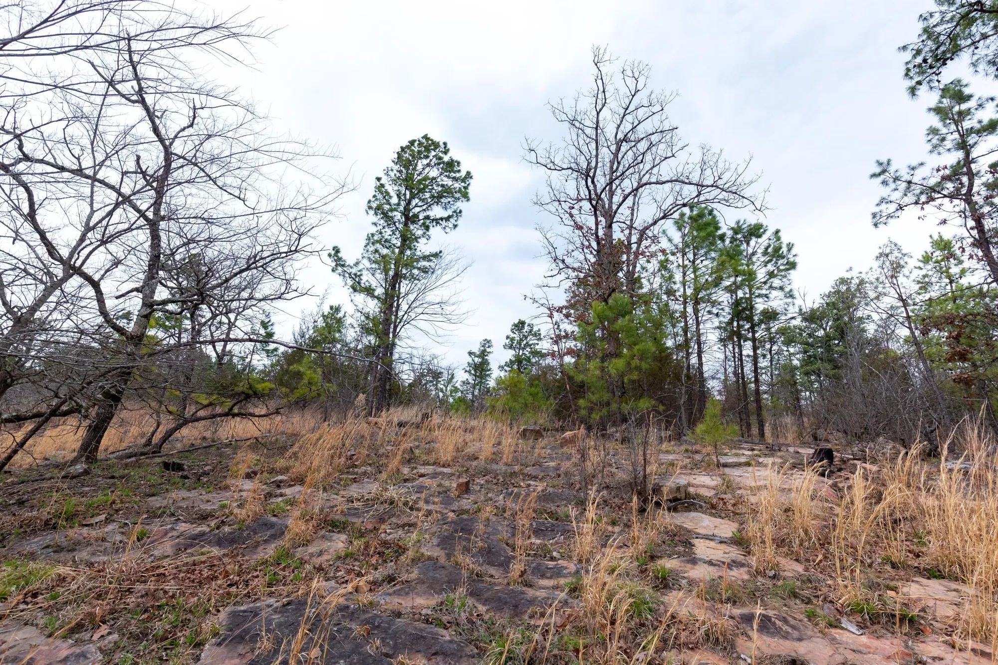Stone Bridge Phase III Tract 138 in Latimer County, OK