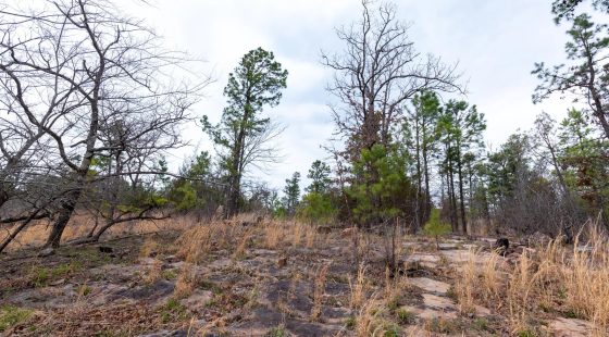 Stone Bridge Phase III Tract 138 in Latimer County, OK