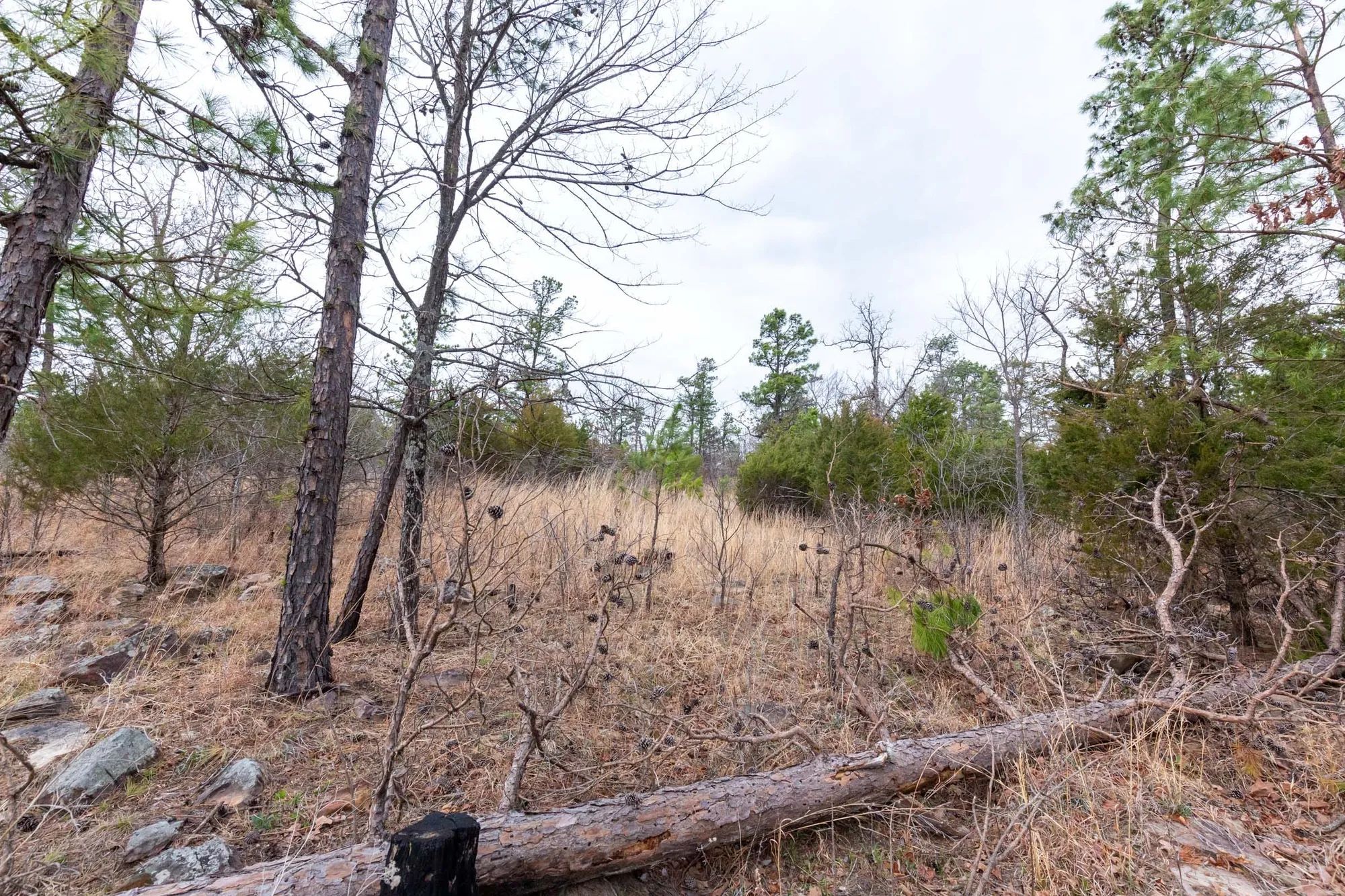 Stone Bridge Phase III Tract 138 in Latimer County, OK
