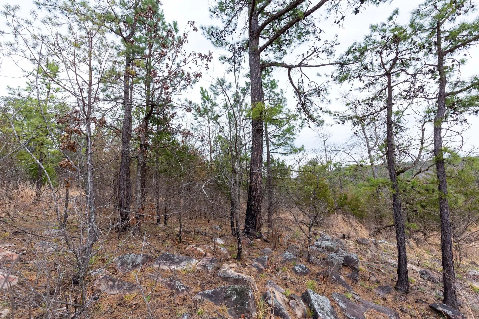 Stone Bridge Phase III Tract 138 in Latimer County, OK