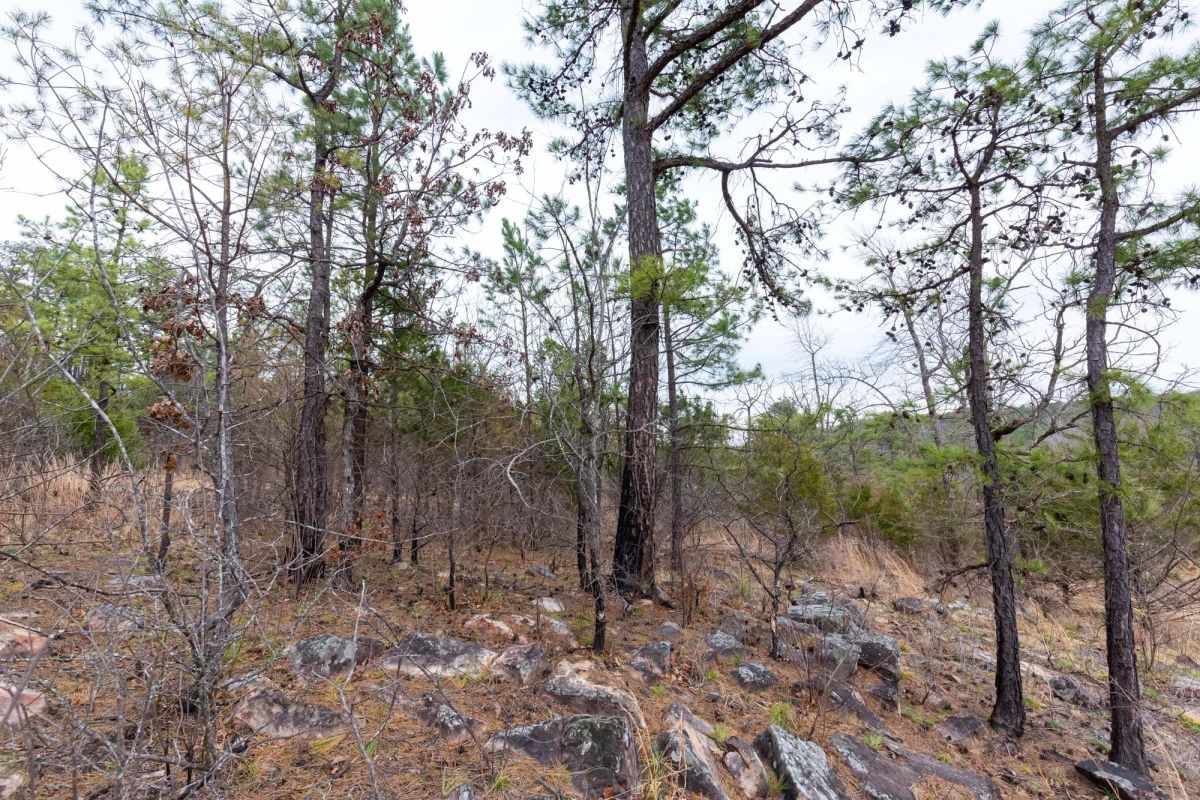 Stone Bridge Phase III Tract 138 - Image 4