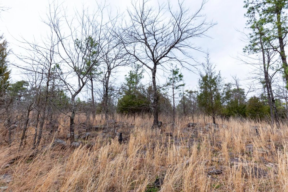 Decorative background for Stone Bridge Phase III Tract 138 image 5