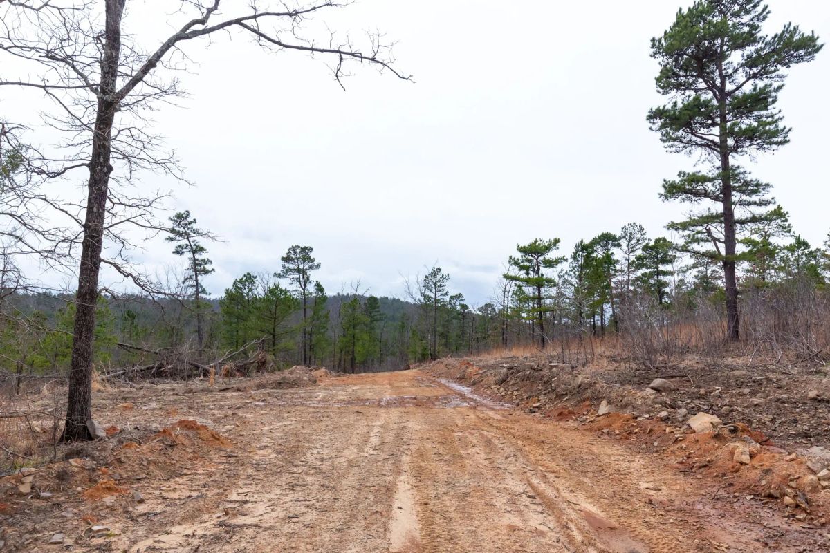 Decorative background for Stone Bridge Phase III Tract 138 image 6
