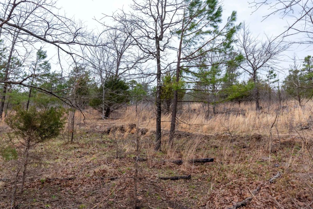Decorative background for Stone Bridge Phase III Tract 138 image 7