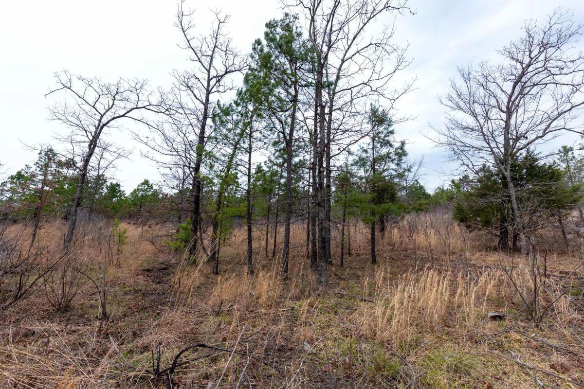 Decorative background for Stone Bridge Phase III Tract 138 image 8