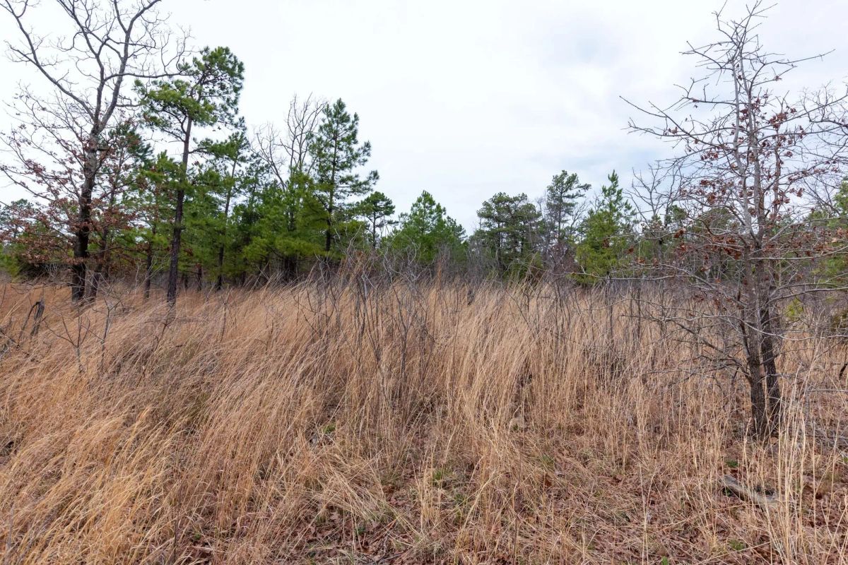 Decorative background for Stone Bridge Phase III Tract 138 image 9