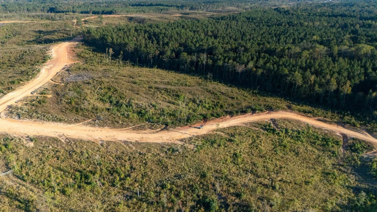 Meyer’s Ridge Tract 4 - Image 2