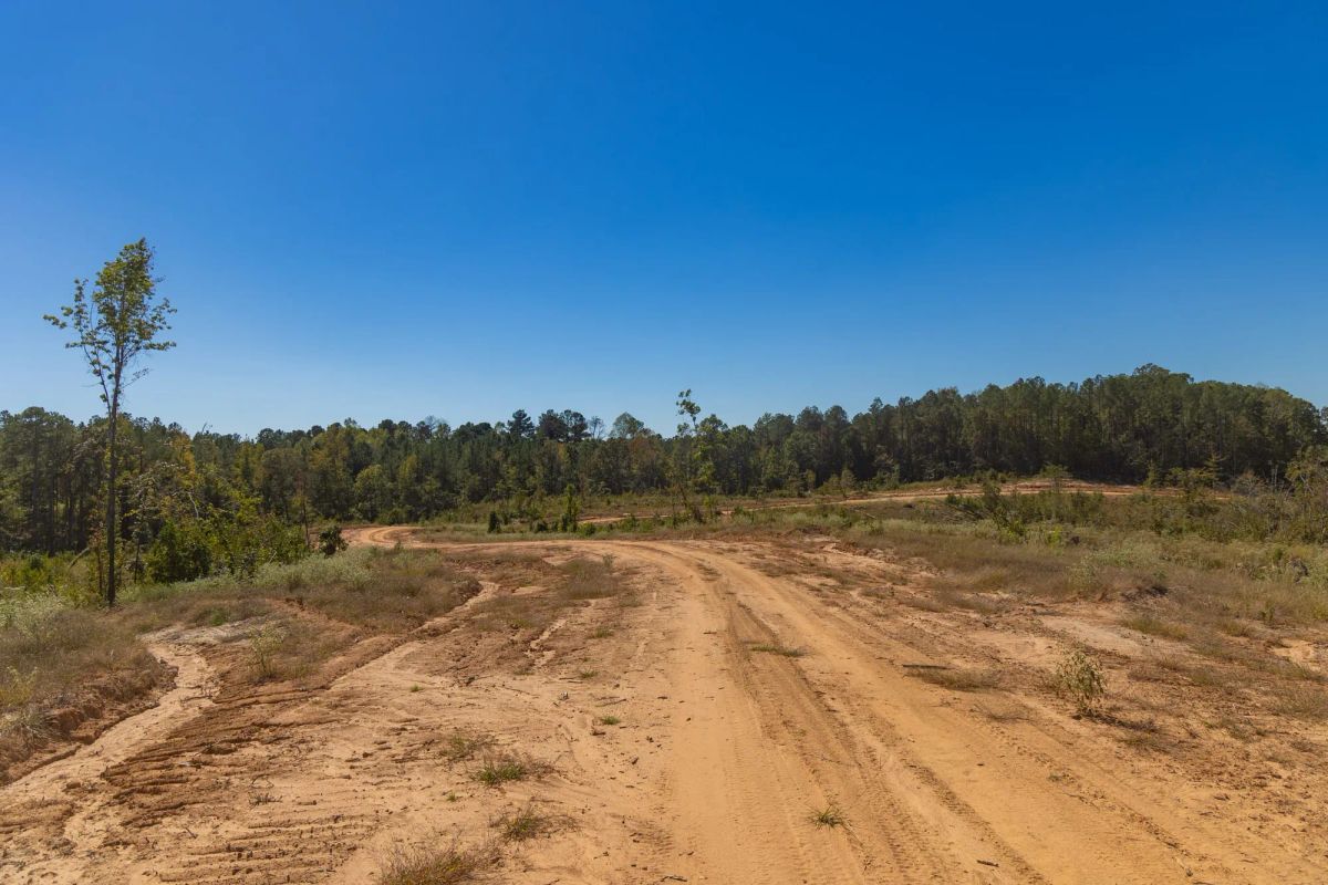 Meyer’s Ridge Tract 4 - Image 3