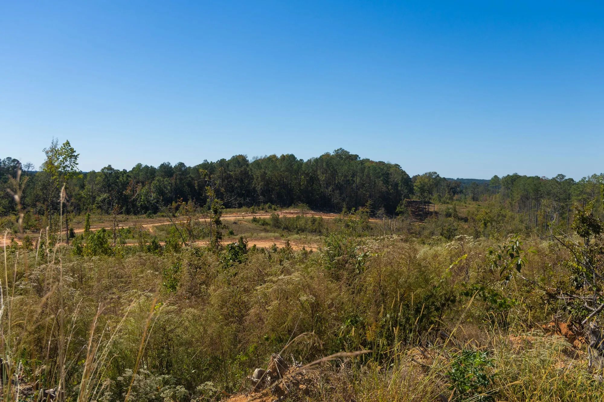 Meyer’s Ridge Tract 4 in Attala County, MS