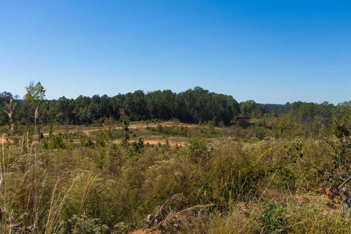 Meyer’s Ridge Tract 4 - Image 4