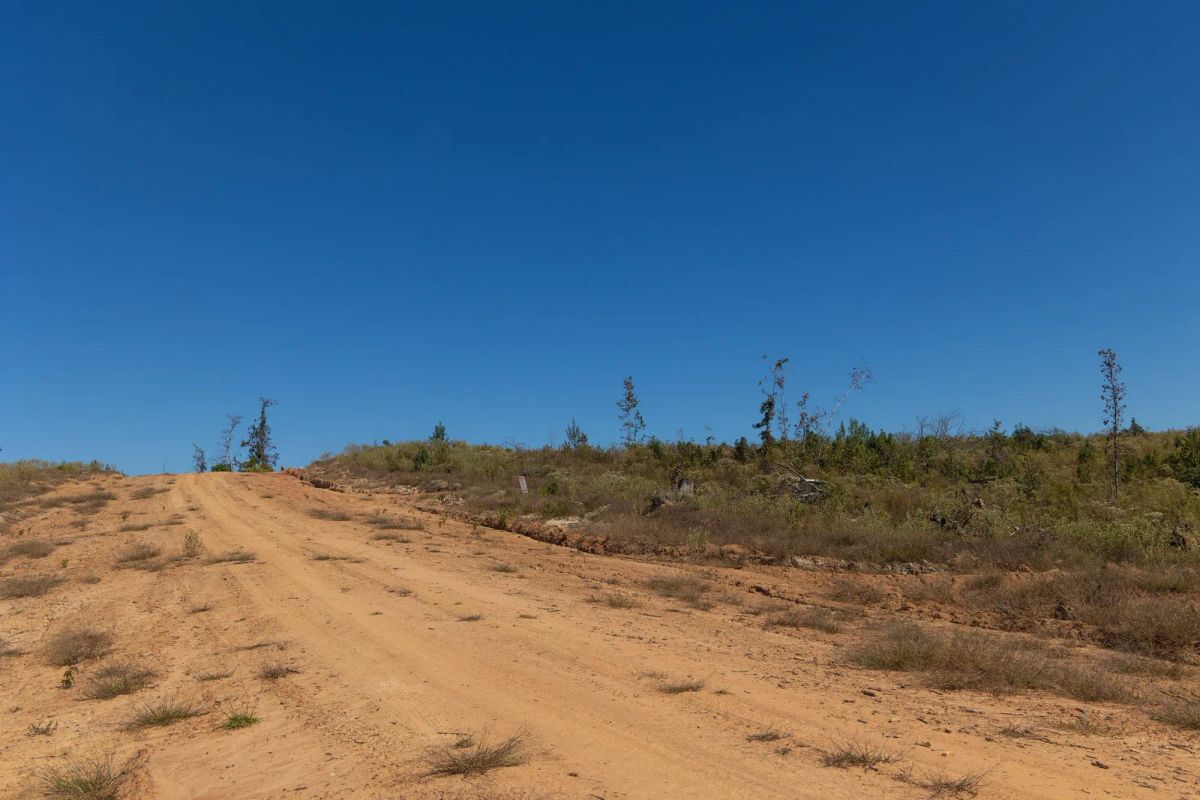 Decorative background for Meyer’s Ridge Tract 4 image 6