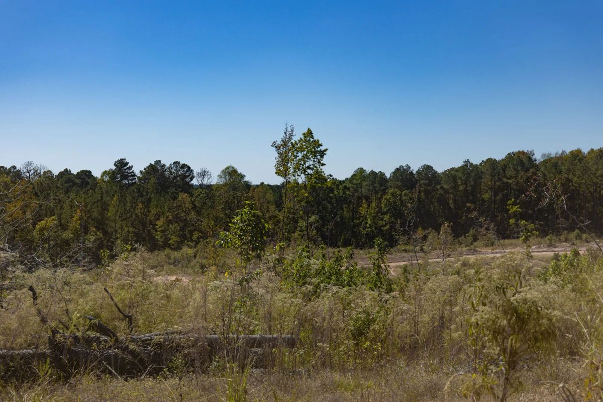 Decorative background for Meyer’s Ridge Tract 4 image 7