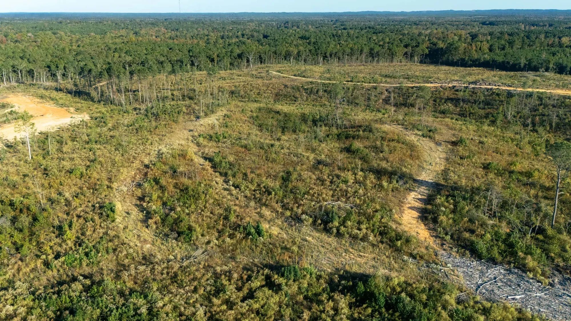 Meyer’s Ridge Tract 33 in Attala County, MS