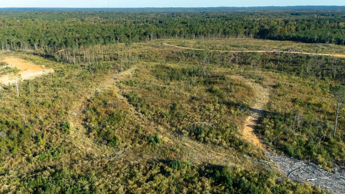 Meyer’s Ridge Tract 33 - Main image