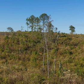 Meyer’s Ridge Tract 33 in Attala County, MS
