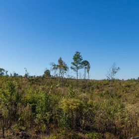 Meyer’s Ridge Tract 33 in Attala County, MS