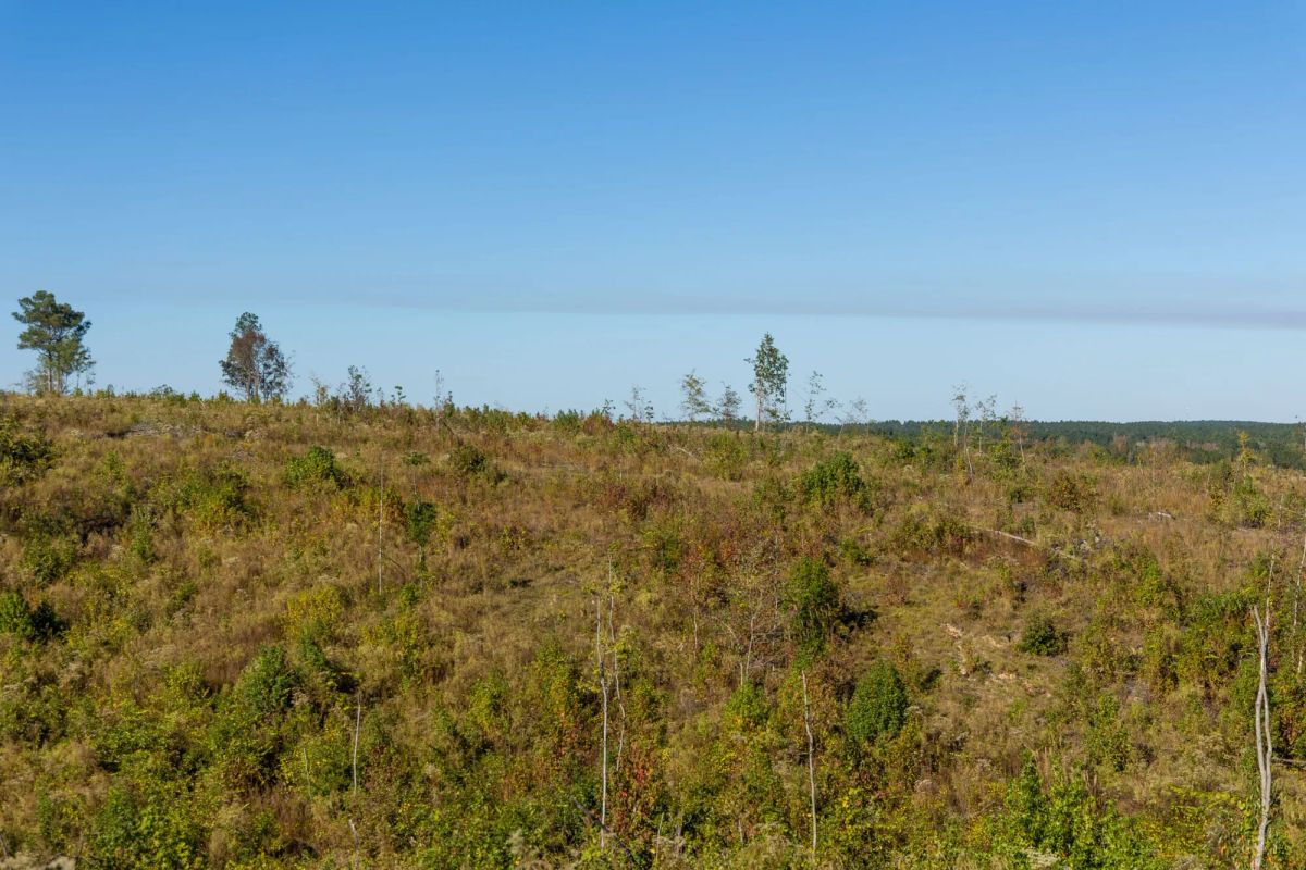Decorative background for Meyer’s Ridge Tract 33 image 5