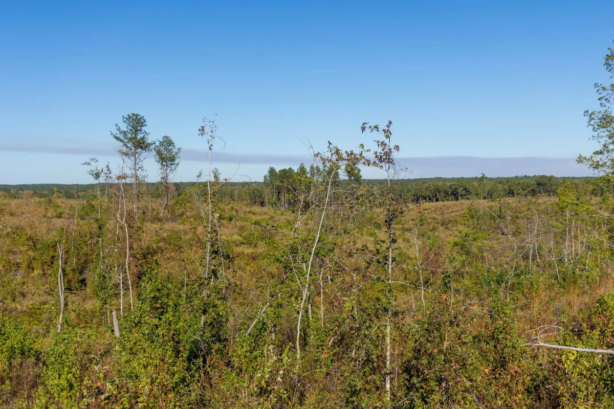 Decorative background for Meyer’s Ridge Tract 33 image 7