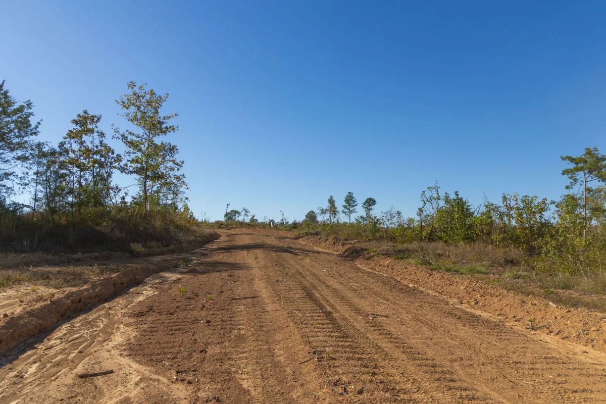 Decorative background for Meyer’s Ridge Tract 33 image 10