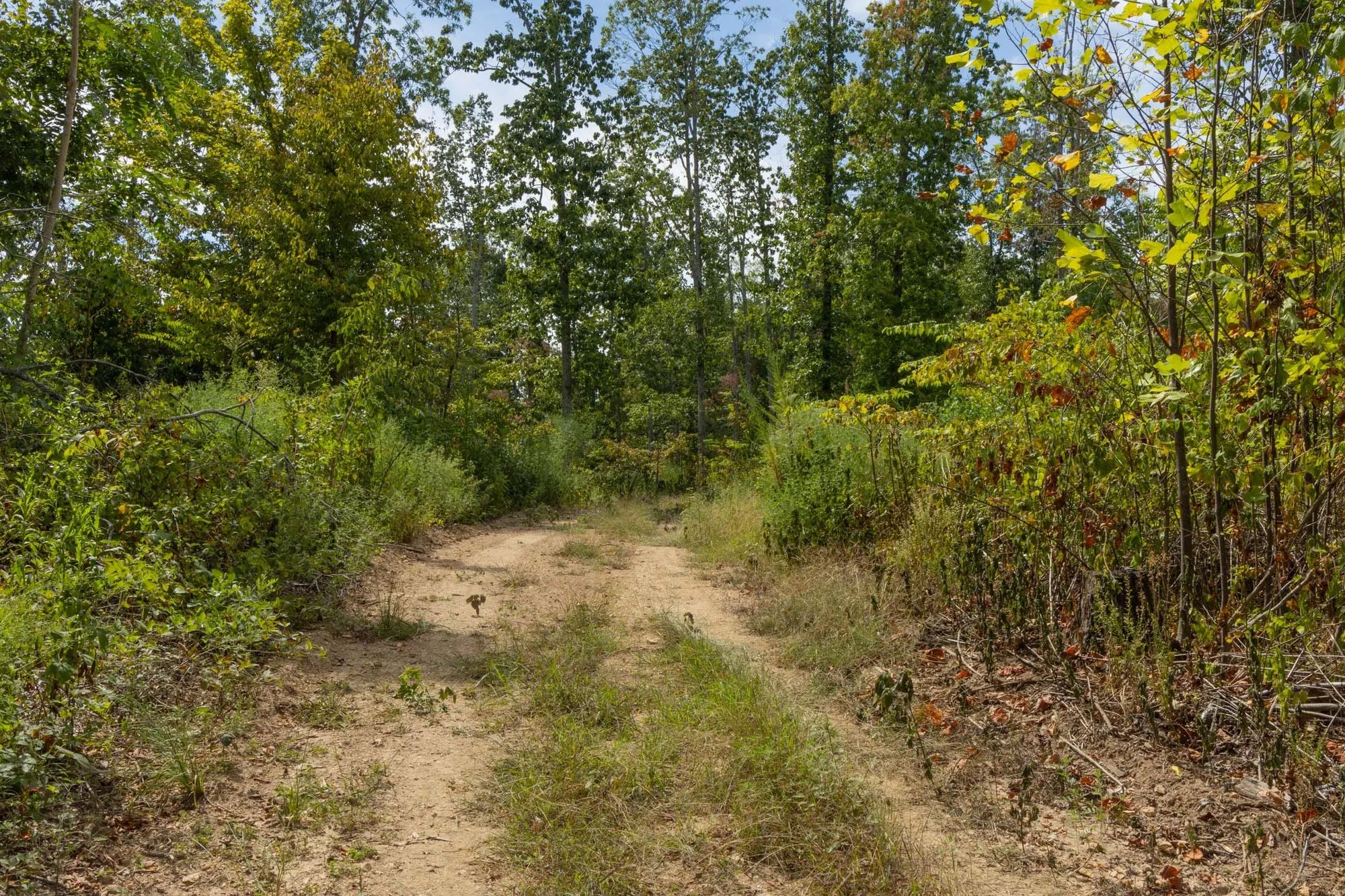 Big White Oak Tract 78 in Perry County, TN