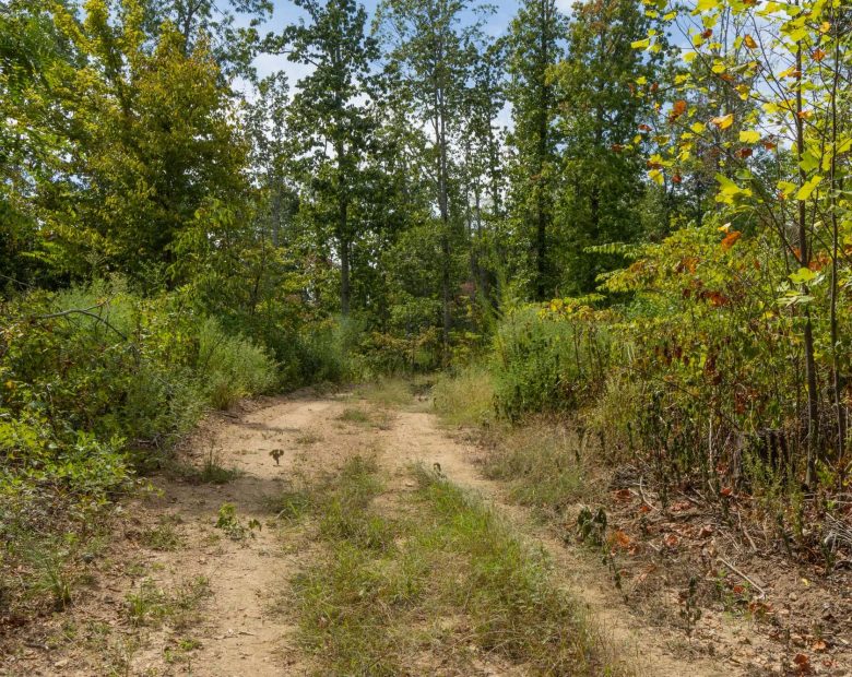 Big White Oak Tract 78 in Perry County, TN