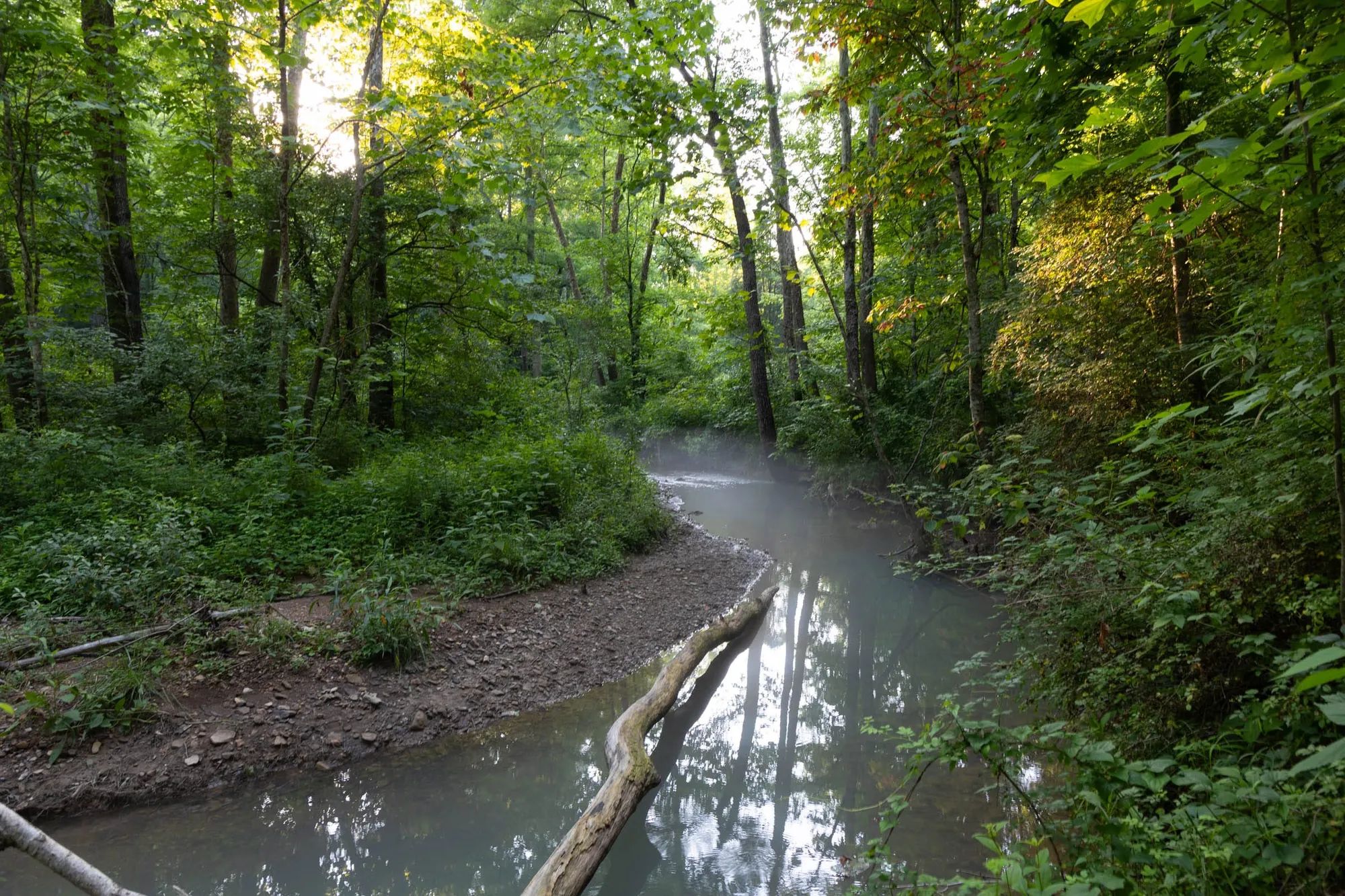 Creek Hollow Phase II Tract 85 in Rockcastle County, KY