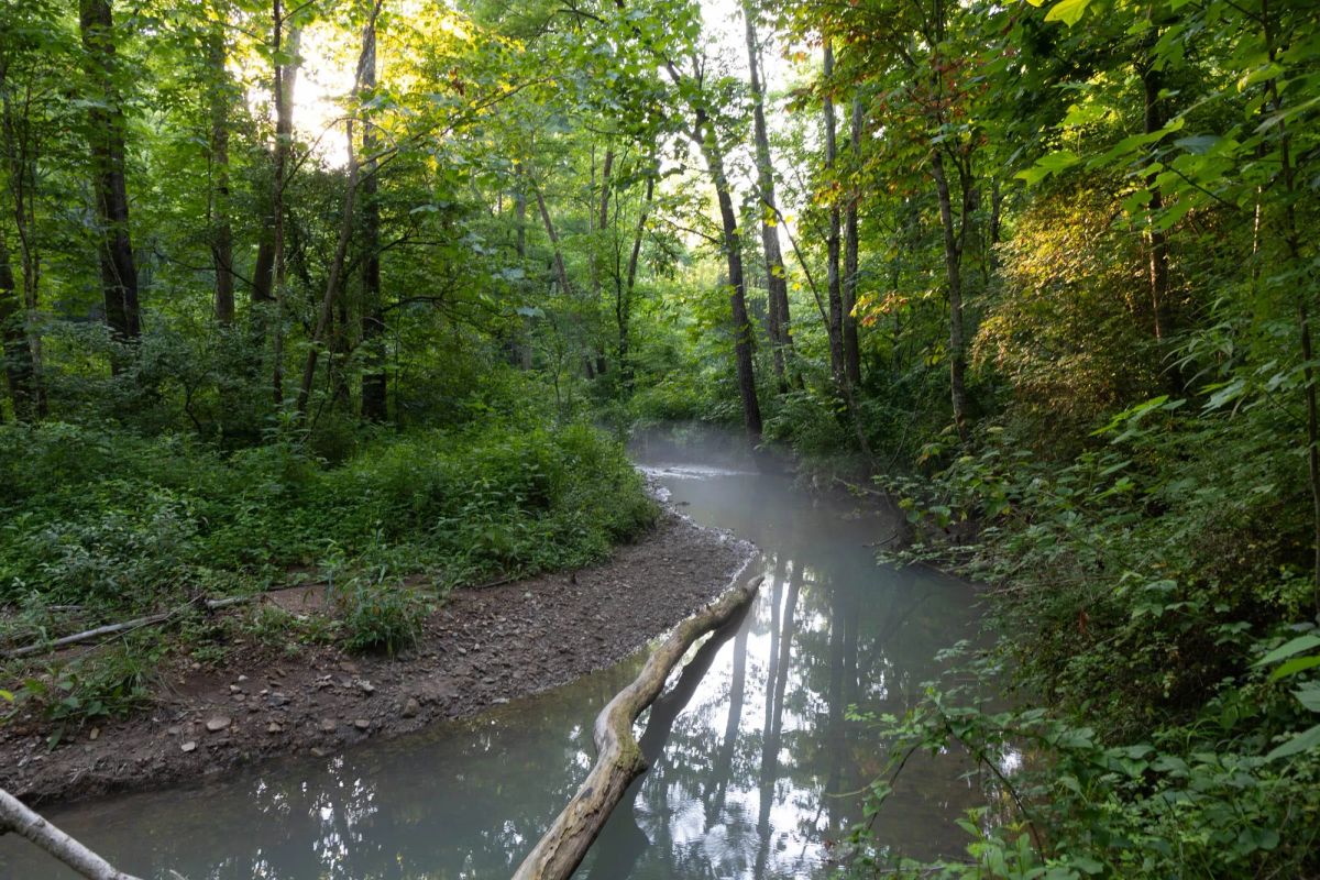 Creek Hollow Phase II Tract 85 - Main image