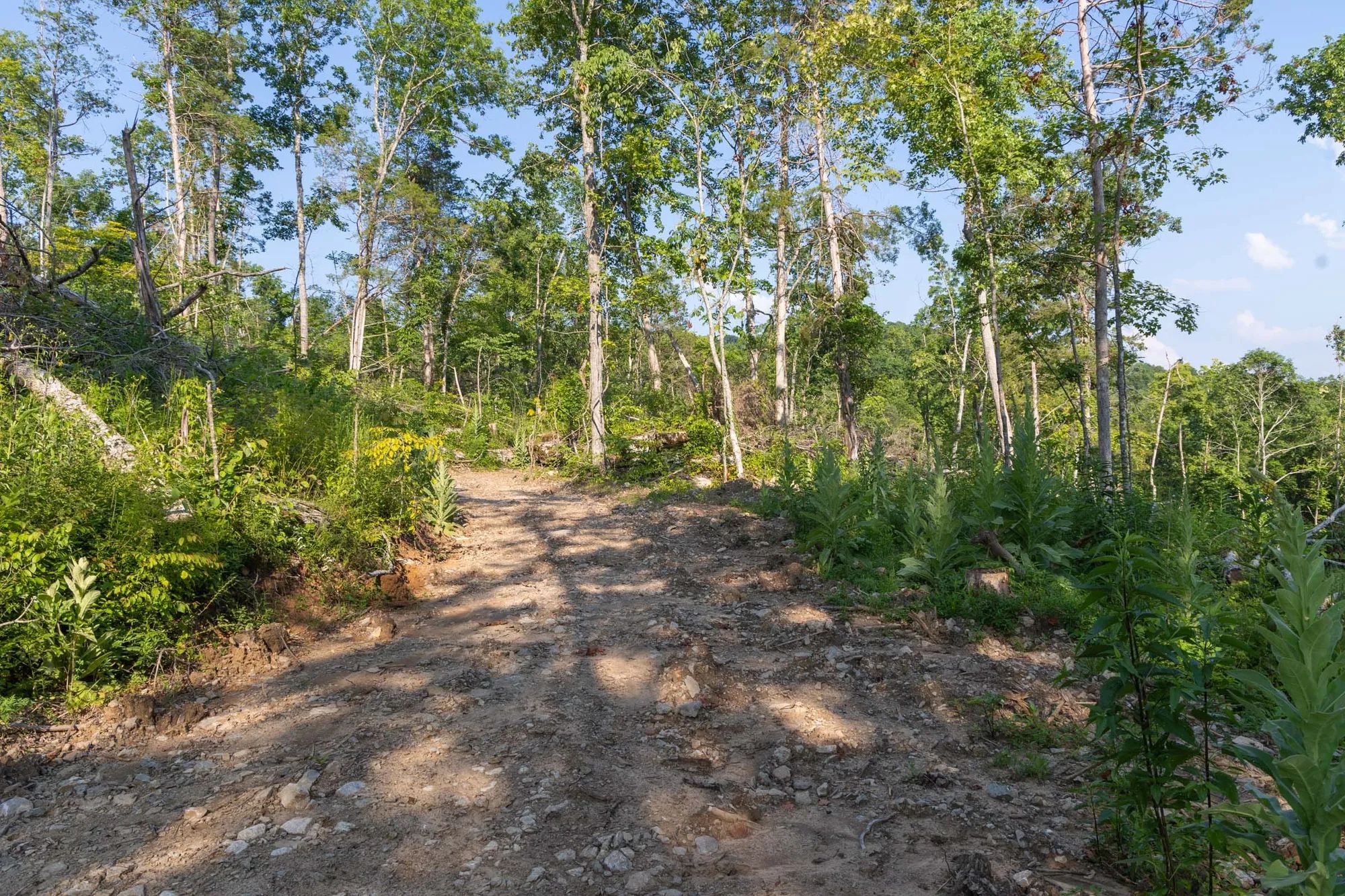 Creek Hollow Phase II Tract 85 in Rockcastle County, KY