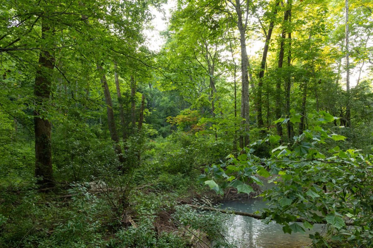 Creek Hollow Phase II Tract 85 - Image 3