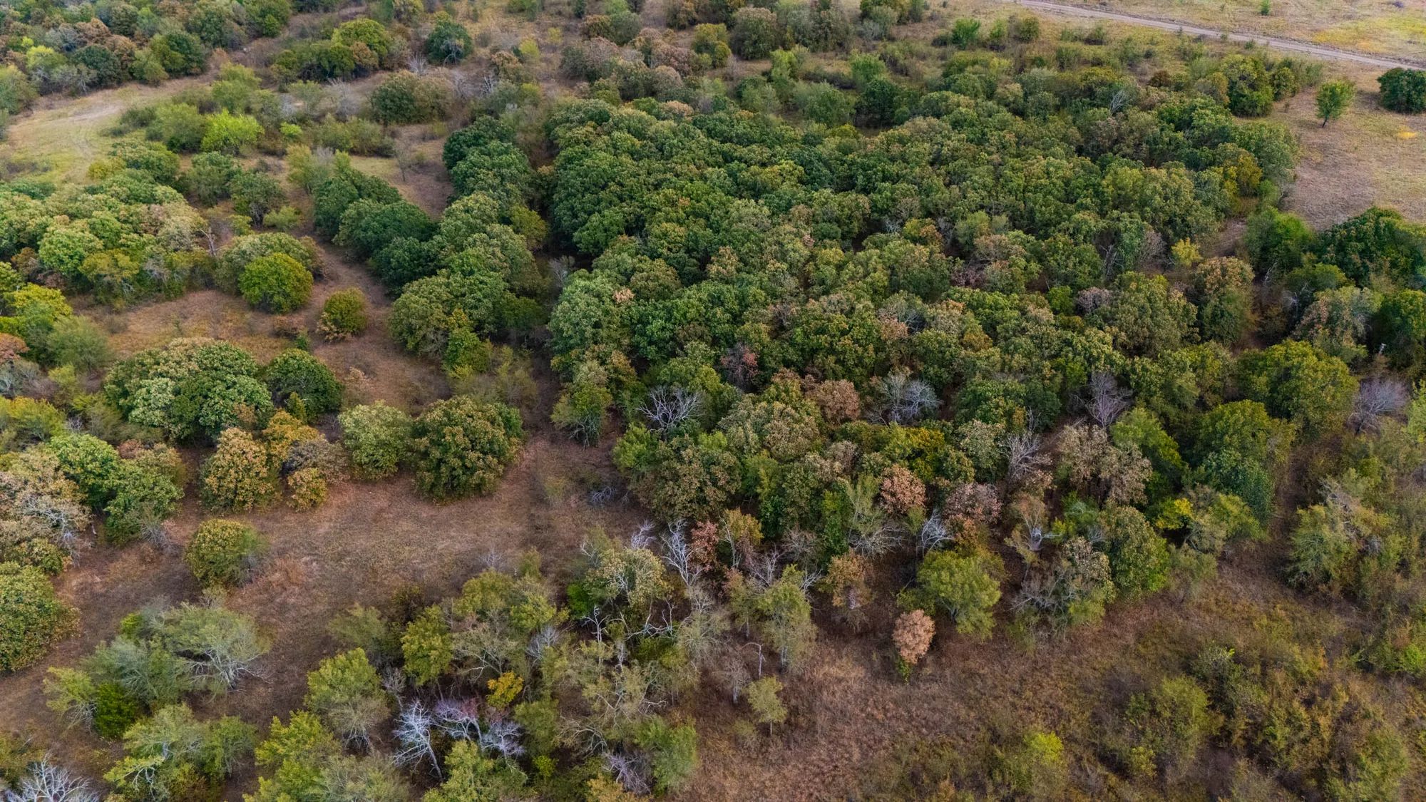 Gracyn Meadows Tract 15 in Okfuskee County, OK