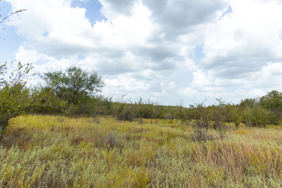Gracyn Meadows Tract 15 - Image 2