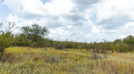 Gracyn Meadows Tract 15 in Okfuskee County, OK