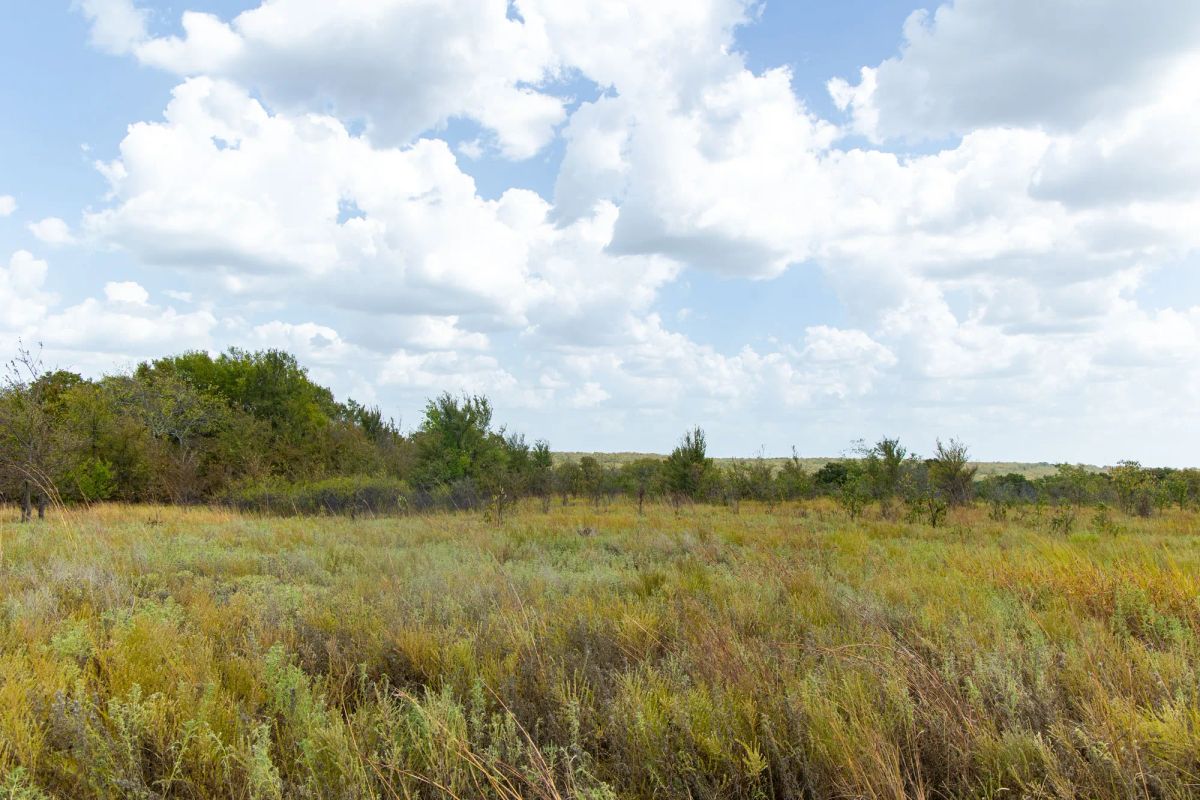 Gracyn Meadows Tract 15 - Image 4