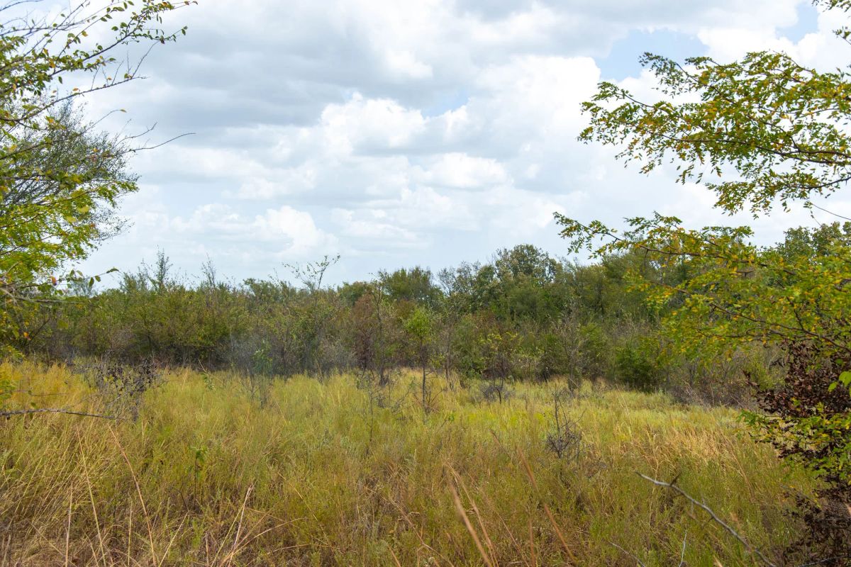 Decorative background for Gracyn Meadows Tract 15 image 5