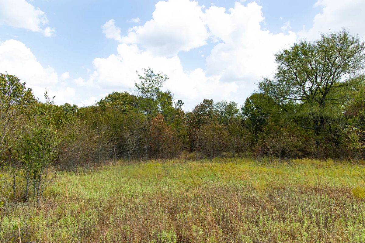Decorative background for Gracyn Meadows Tract 15 image 7