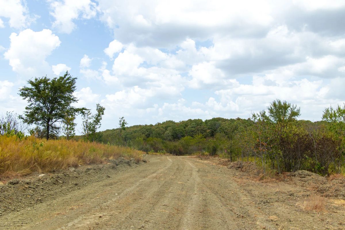Decorative background for Gracyn Meadows Tract 15 image 9
