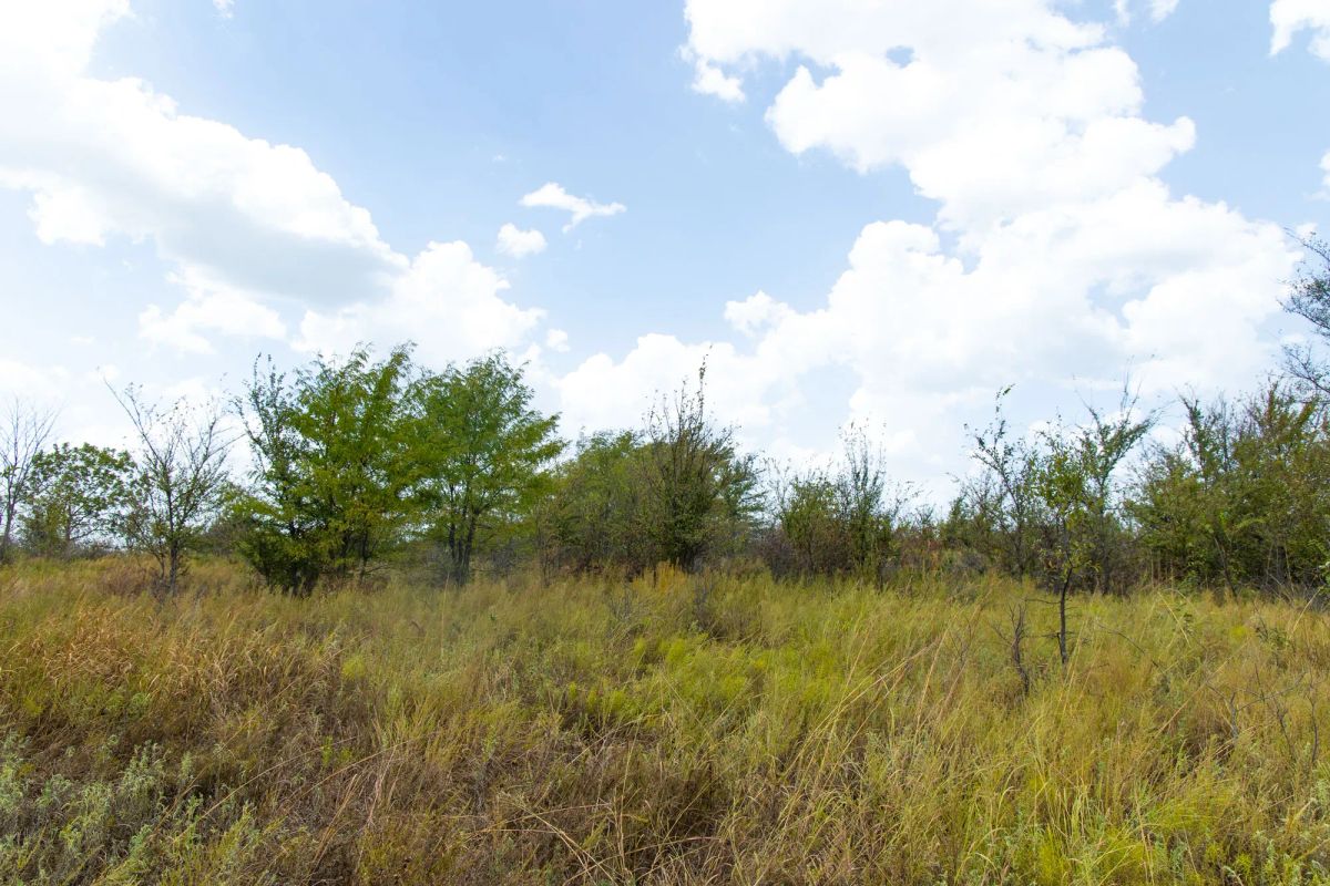 Decorative background for Gracyn Meadows Tract 15 image 10