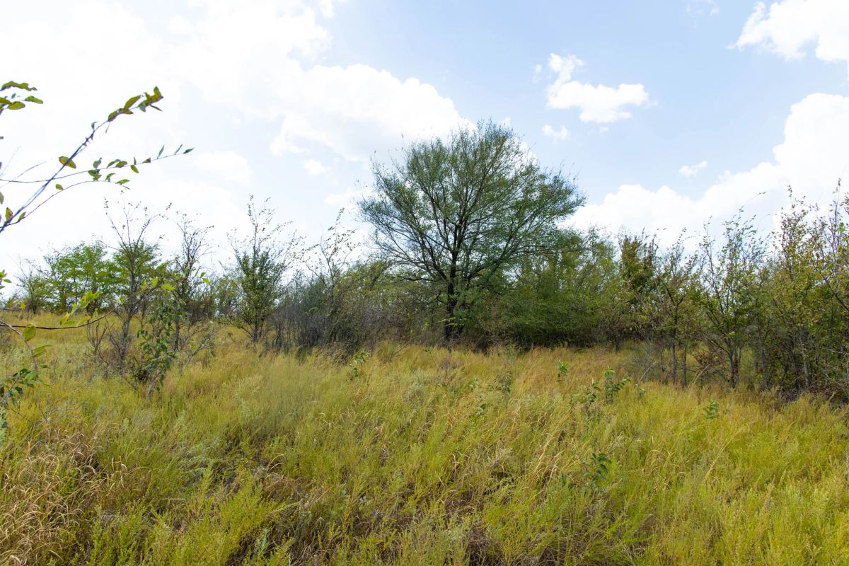 Decorative background for Gracyn Meadows Tract 15 image 11