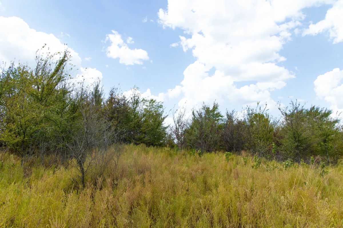 Decorative background for Gracyn Meadows Tract 15 image 12
