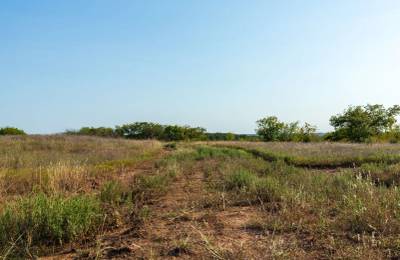Canyon Creek Tract 7