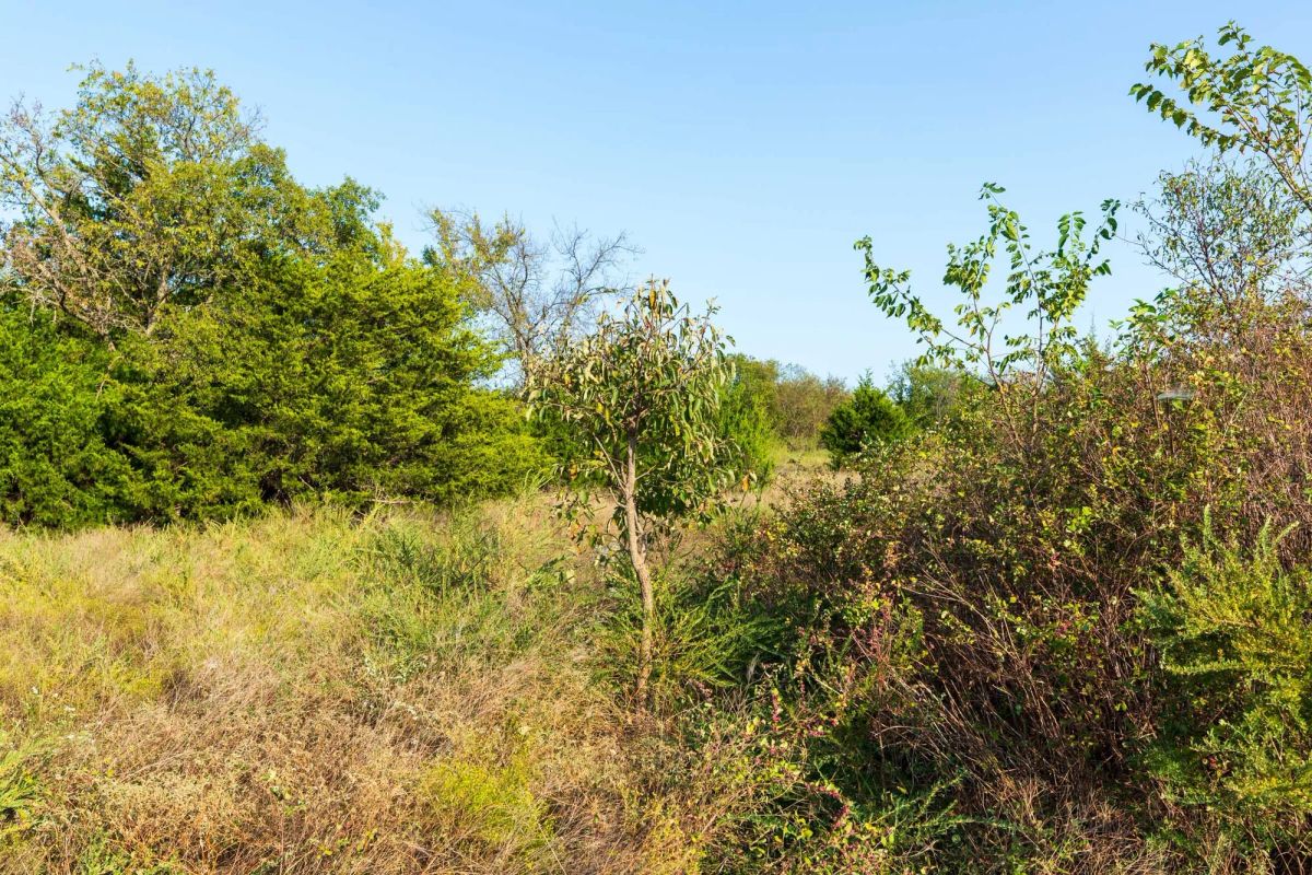 Decorative background for Canyon Creek Tract 7 image 8