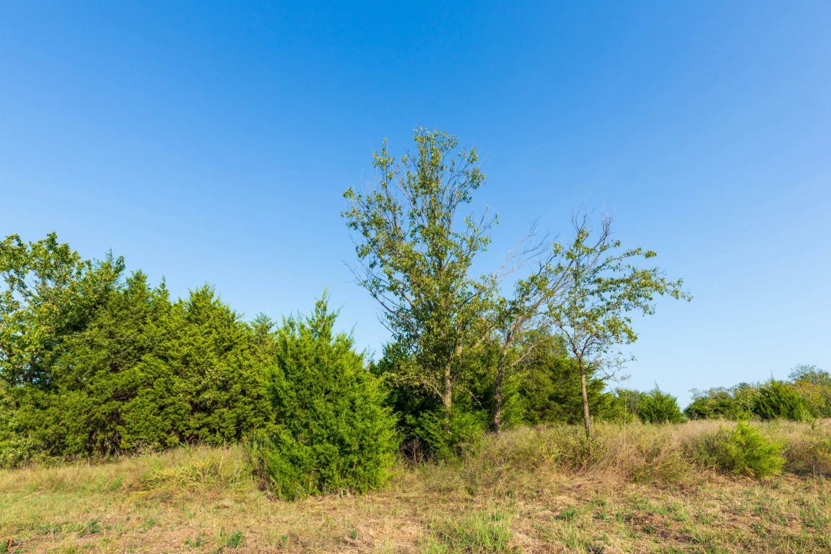 Decorative background for Canyon Creek Tract 7 image 10