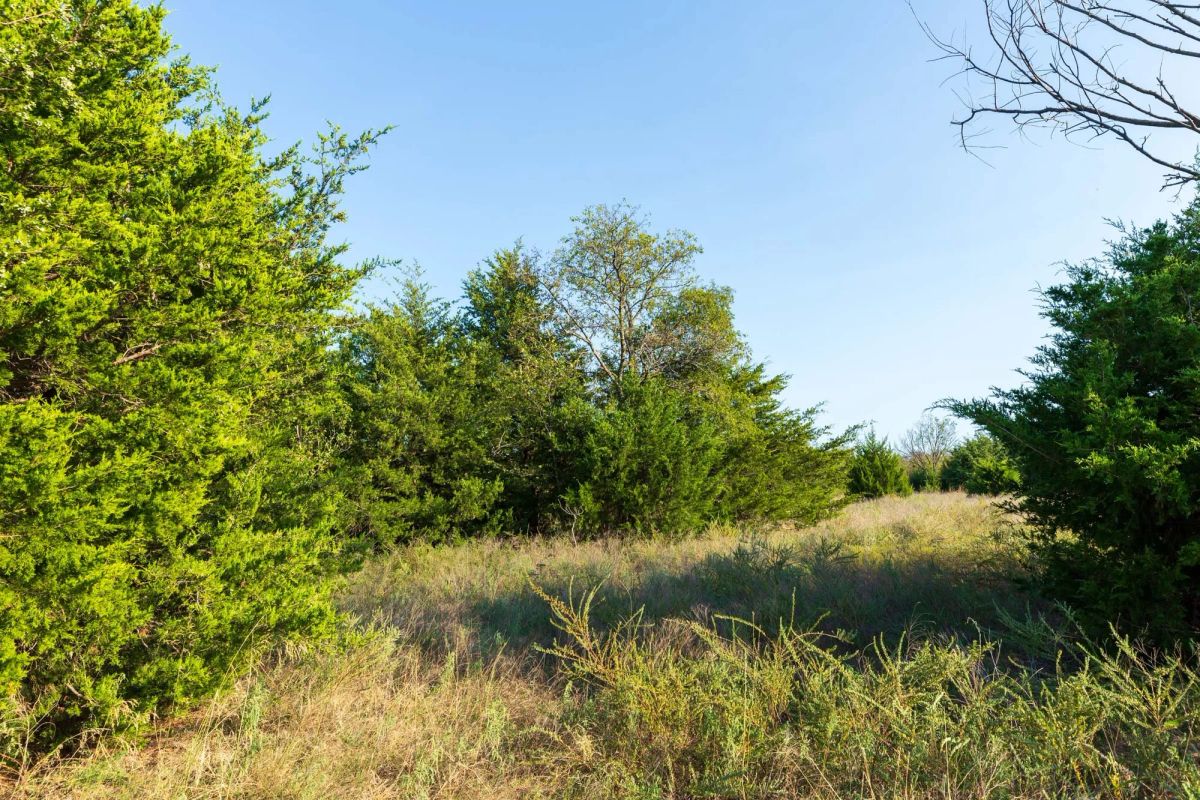 Decorative background for Canyon Creek Tract 7 image 11