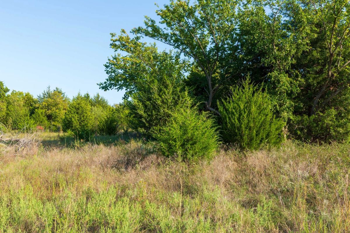 Decorative background for Canyon Creek Tract 7 image 12
