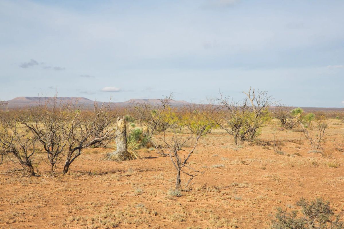 Decorative background for Sunset Ranches Tract 2 image 7