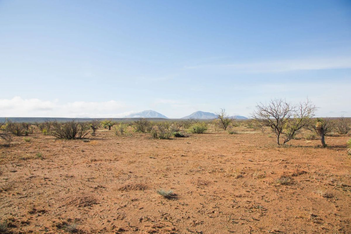 Decorative background for Sunset Ranches Tract 2 image 13