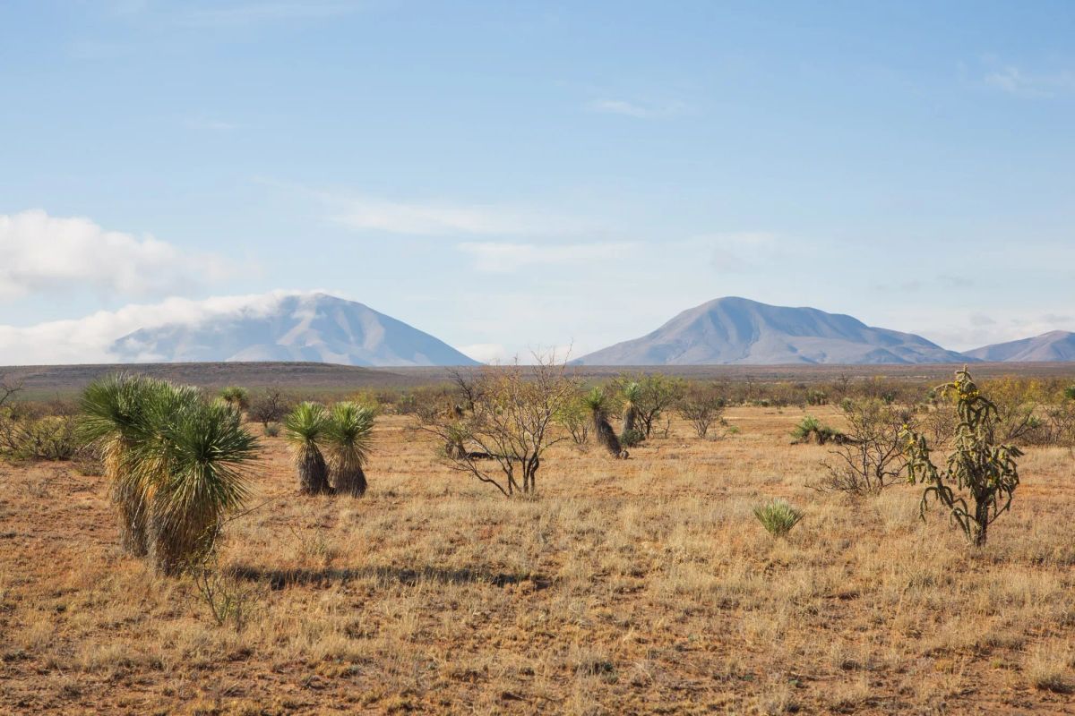 Decorative background for Sunset Ranches Tract 2 image 15