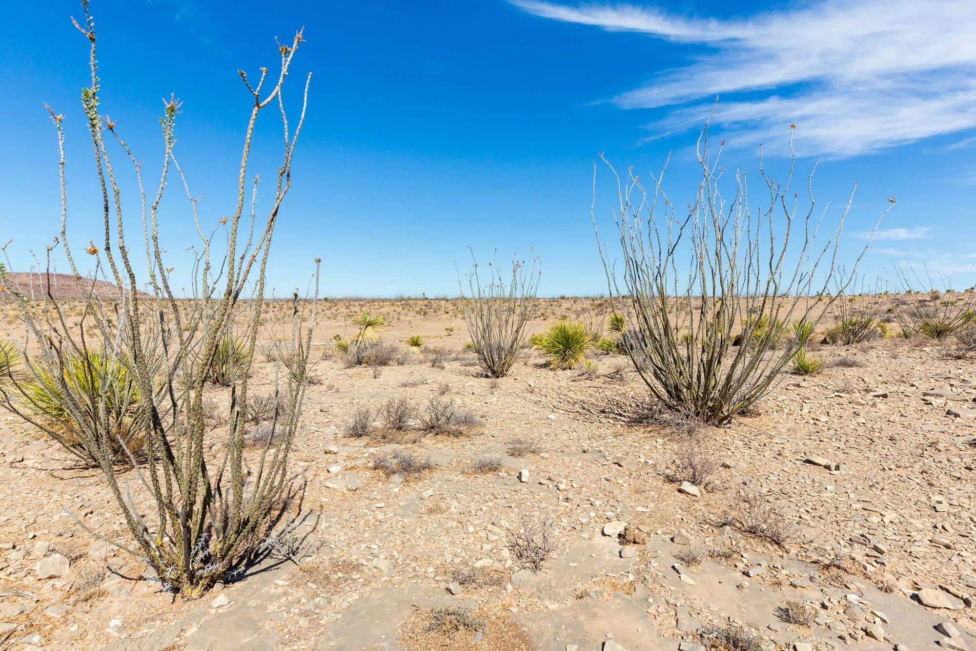 Sunrise Ranches Phase III Tract 129 in Hudspeth County, TX