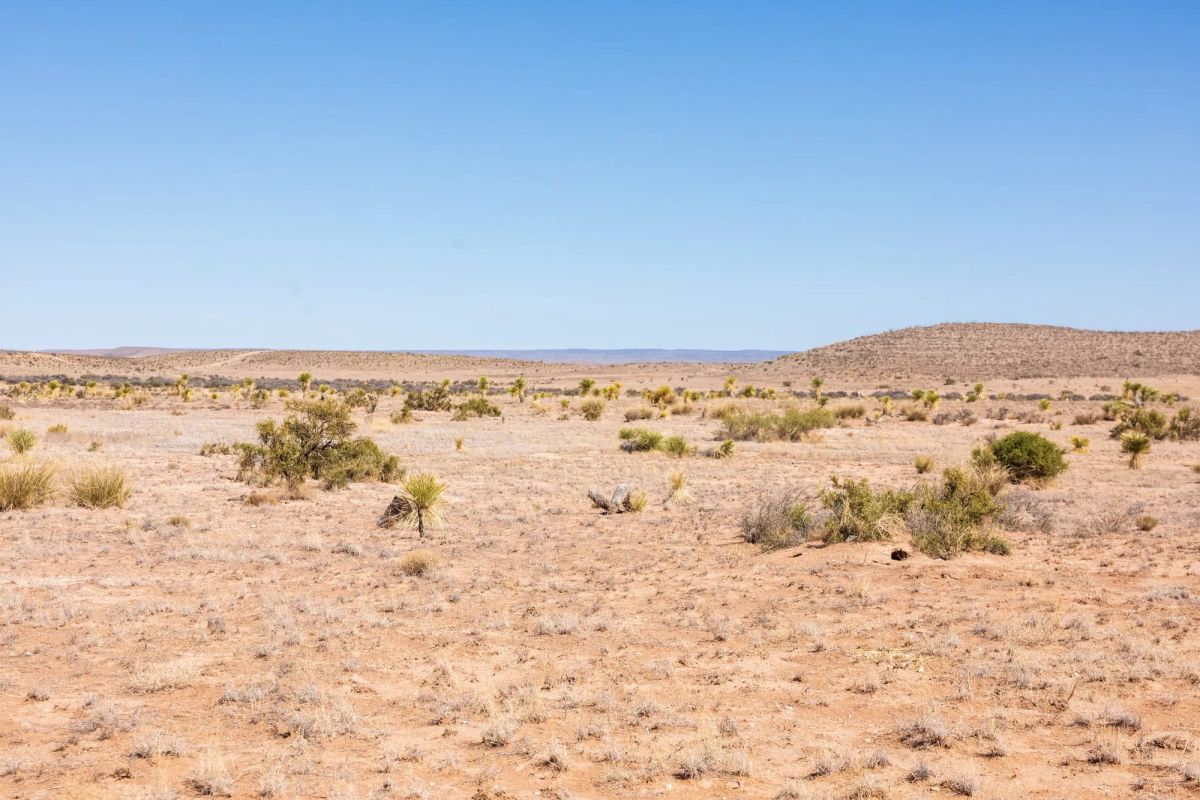 Decorative background for Sunrise Ranches Phase III Tract 129 image 5